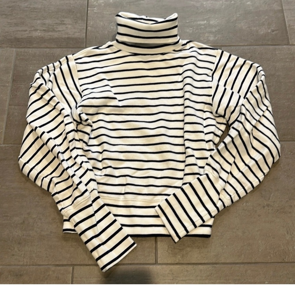 Addison bay puffed sleeve Striped Turtleneck Sweater